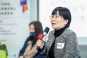 李莹律师发言